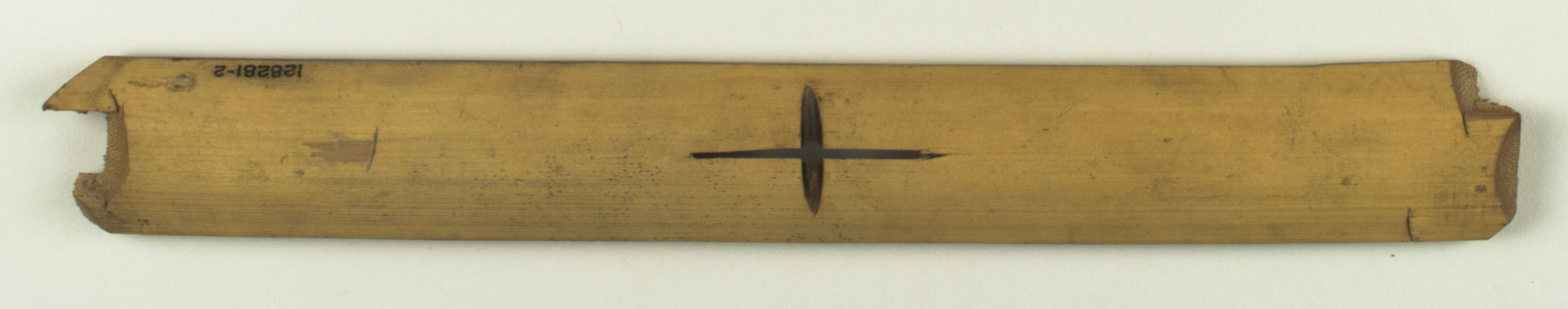 Top view without scale 