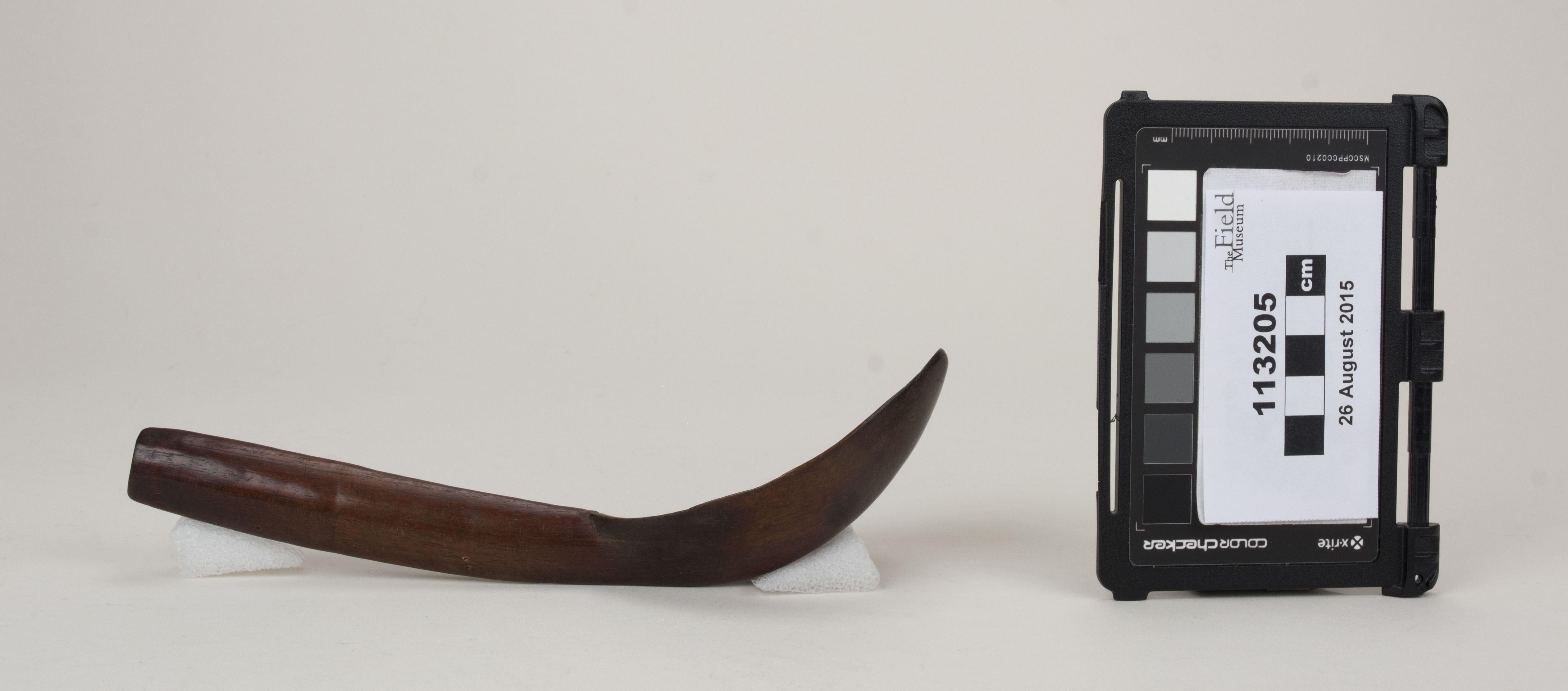 reference image, side view 