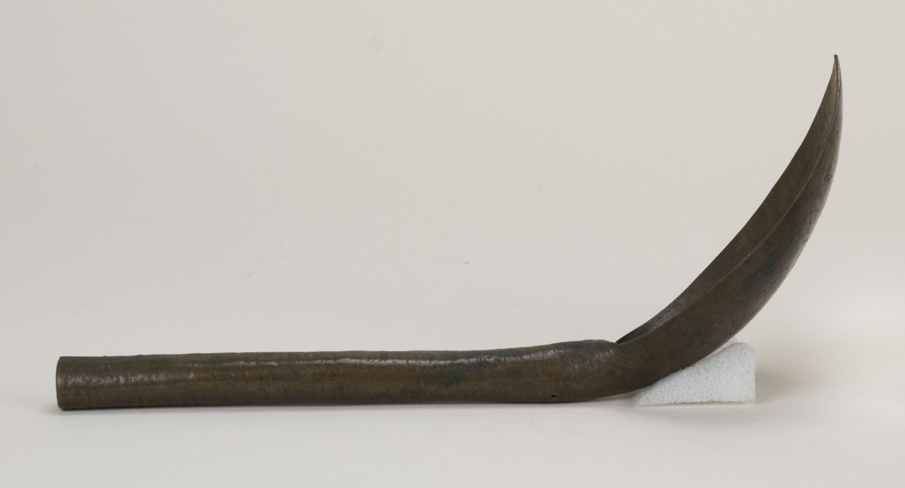 Side view without scale  