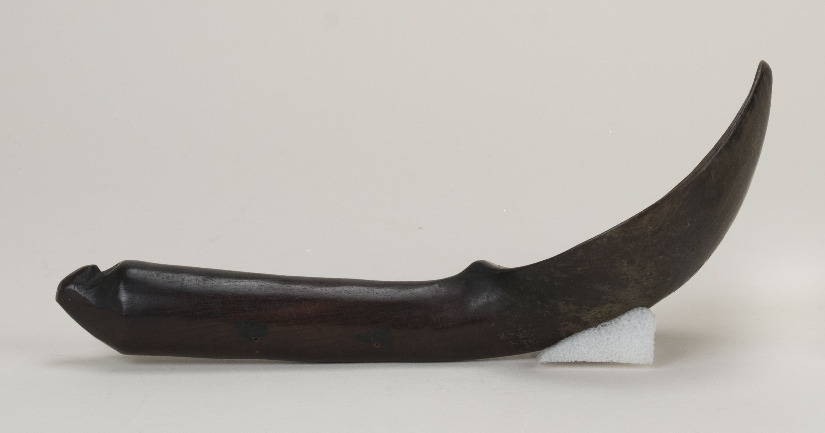 reference image, side view without scale 