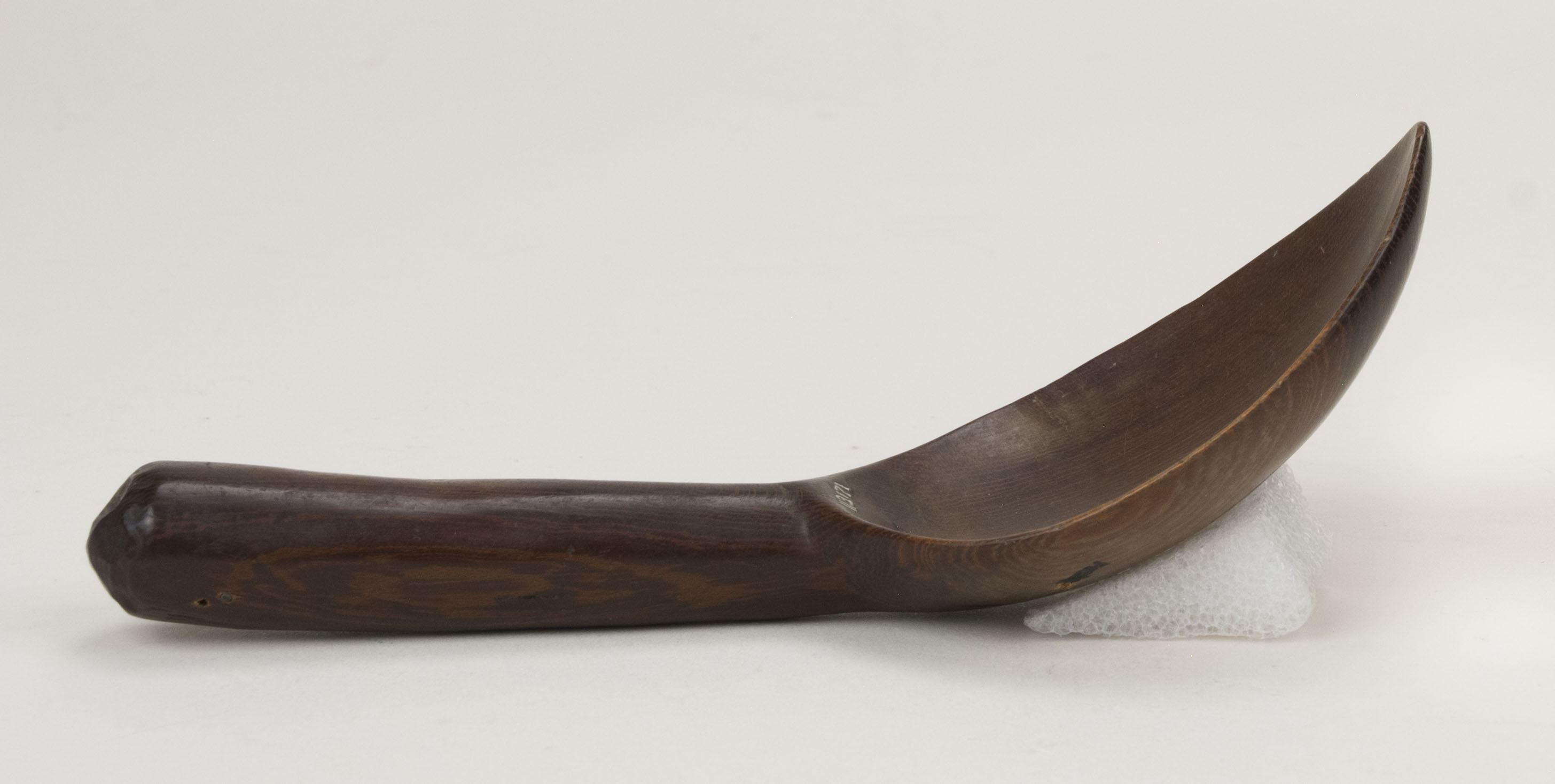 Side view without scale 