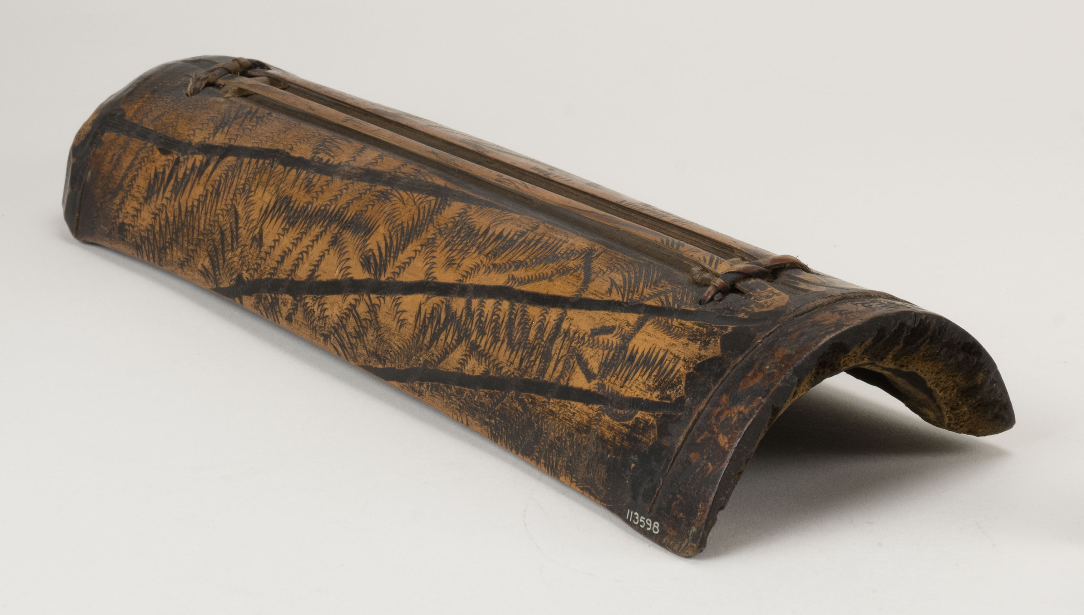 Side view without scale 