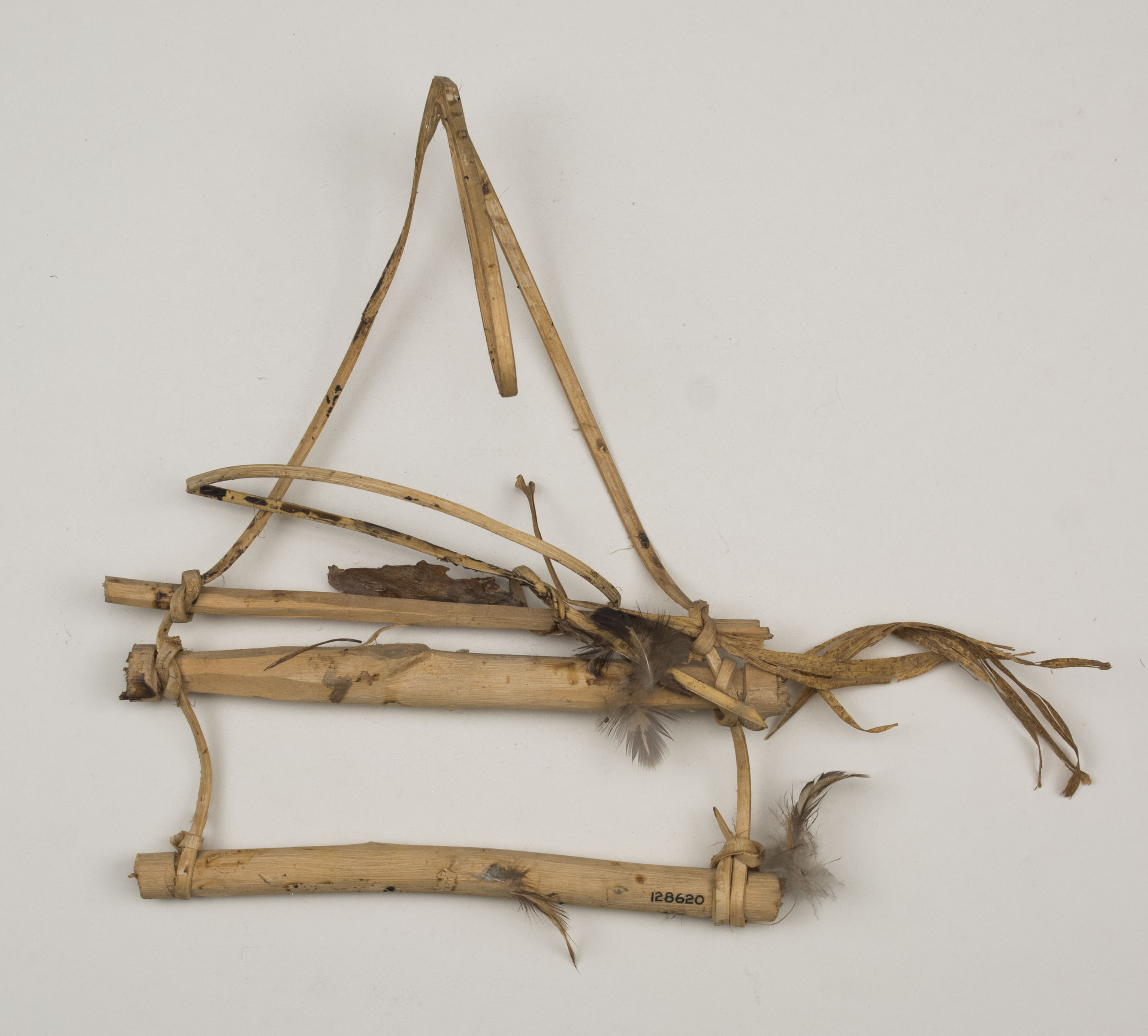 Top view without scale 