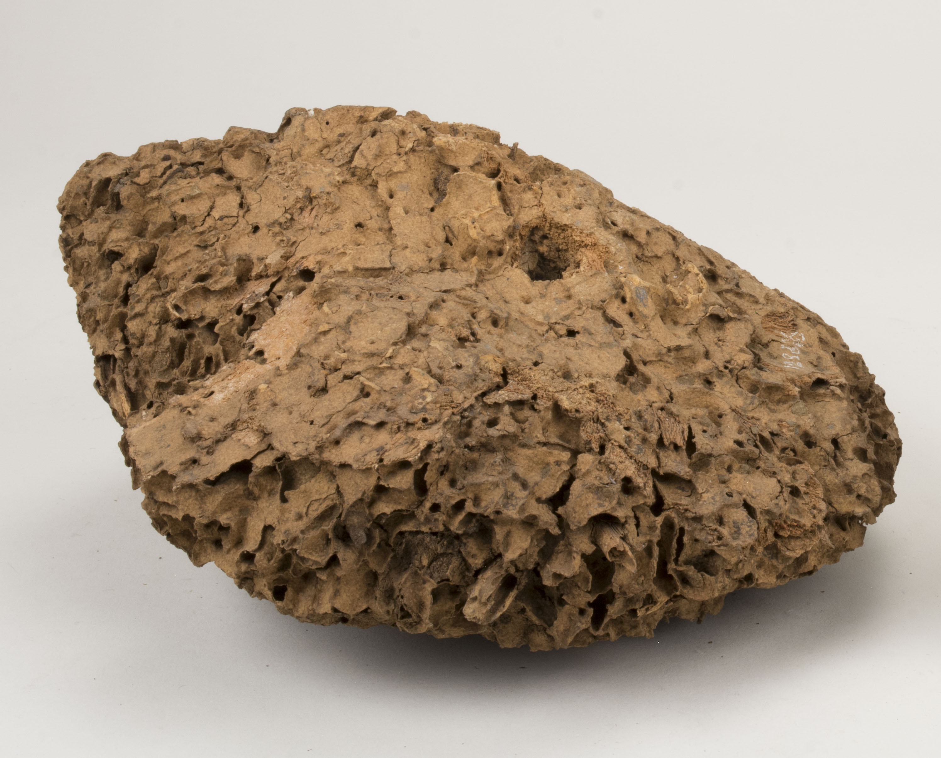 Front view without scale 