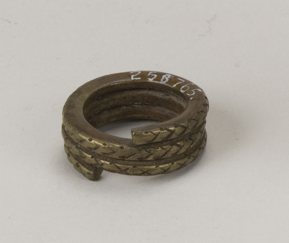 Front view without scale 