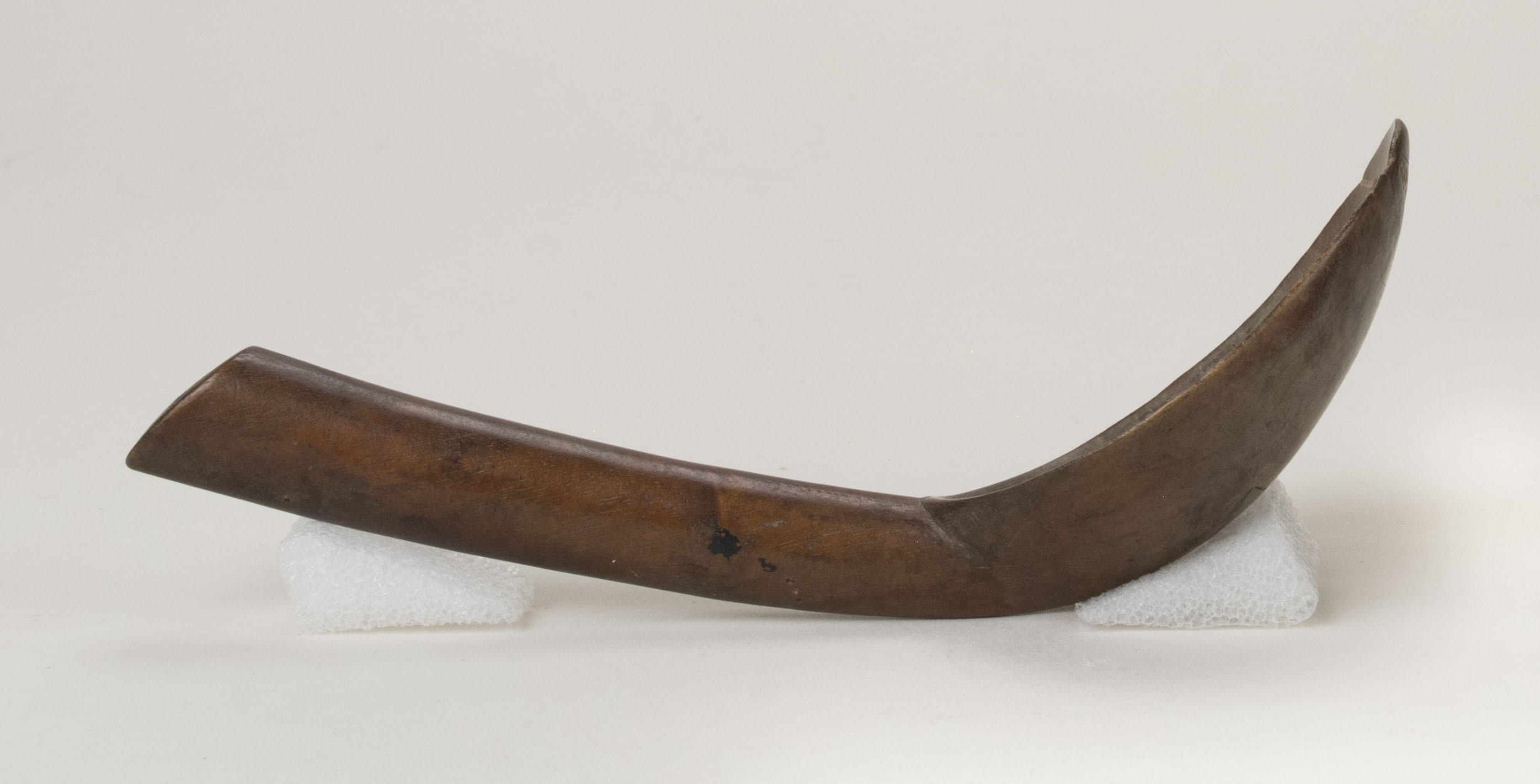 Side view without scale 