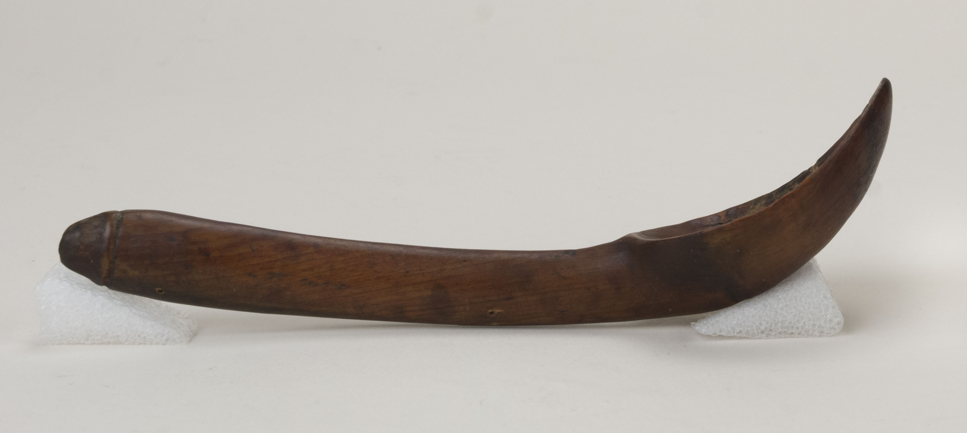 Side view without scale 