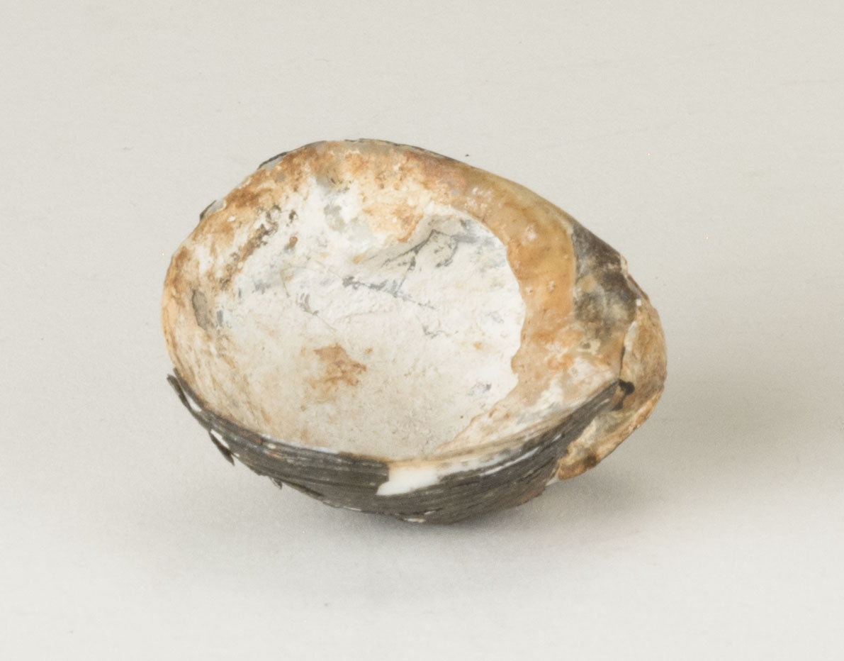 Front view without scale 