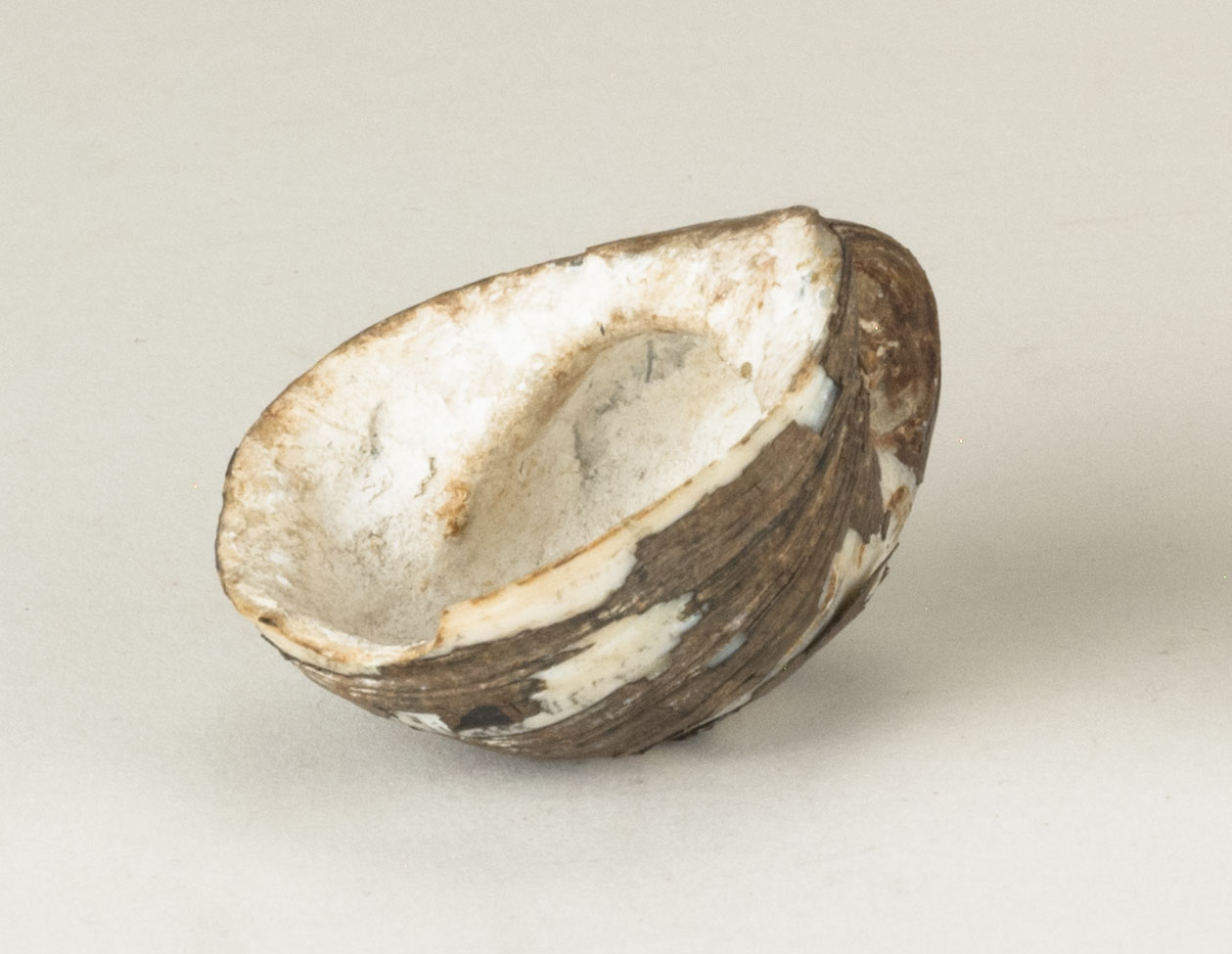 Front view without scale 