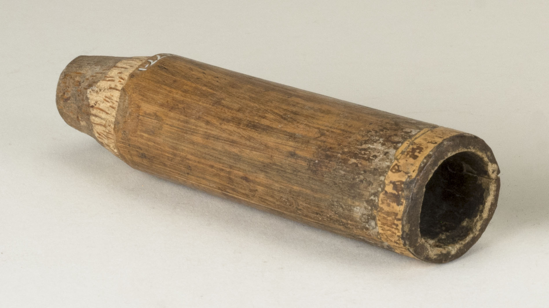 Side view without scale 