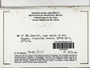Cheilolejeunea (Spruce) Schiffn., BRAZIL, R. M. Schuster 79-20-1035, F (Supported by NSF DBI-1458300)