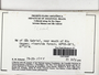 Cheilolejeunea (Spruce) Schiffn., BRAZIL, R. M. Schuster 79-20-1045, F (Supported by NSF DBI-1458300)