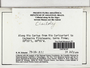 Cheilolejeunea (Spruce) Schiffn., BRAZIL, R. M. Schuster 79-16-831, F (Supported by NSF DBI-1458300)