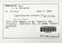 Lopholejeunea eulopha (Taylor) Schiffn., Fiji, R. M. Schuster 67-7942, F (Supported by National Science Foundation DBI-1458300)