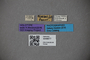 3048677 Thinobius richteri HT labels IN