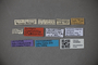 3048682 Trogophloeus mafingensis LT labels IN