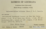 U.S.A. (Louisiana), S. C. Tucker 8846-B (Accession number: none)