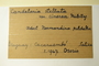 Uruguay, H. S. Osorio s.n. (Accession number: none)