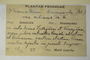 Finland, M. Laurila s.n. (Accession number: none)