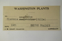 U.S.A. (Washington), Langley s.n. (Accession number: 1086535)