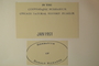 U.S.A. (Idaho), W. B. Cooke & V. G. Cooke 26079 (Accession number: none)