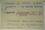 U.S.A. (Iowa), W. B. Kiener 7517 (Accession number: 1107040)