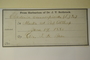 U.S.A. (Alaska), J. H. Bean s.n. (Accession number: 310026)