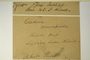 U.S.A. (Massachusetts), J. L. Russell s.n. (Accession number: 1075994)