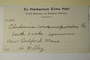 U.S.A. (Massachusetts), H. Willey 121 (Accession number: 1075996)