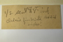 U.S.A., s.col. s.n. (Accession number: 1235845)