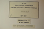 U.S.A. (Virginia), P. O. Schallert s.n. (Accession number: 1236135)