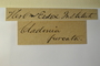 No location, s.col. s.n. (Accession number: 277384)