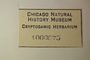U.S.A. (Missouri), J. A. Steyermark 71138 (Accession number: 1000075)