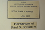 U.S.A. (Washington), P. O. Schallert 8331 (Accession number: none)