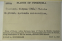 Venezuela, J. A. Steyermark 62728 (Accession number: 1325993)