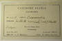 U.S.A. (Vermont), D. L. Dutton 1317 (Accession number: 1077361)