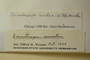 U.S.A. (Pennsylvania), F. S. Chapman 11677 (Accession number: none)