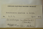 U.S.A. (New Hampshire), S. Higginson s.n. (Accession number: 1170465)