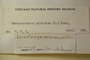 U.S.A. (California), L. W. Nuttall 449 (Accession number: 1077092)