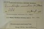 U.S.A. (Missouri), J. A. Steyermark 68562 (Accession number: 1000108)