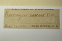 Canada (New Brunswick), s.col. s.n. (Accession number: 1075010)