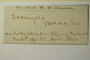 U.S.A. (New York), W. W. Denslow s.n. (Accession number: 1075591)