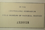 U.S.A. (Indiana), L. J. King s.n. (Accession number: 1124431)