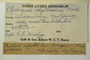U.S.A. (New Jersey), G. G. Nearing s.n. (Accession number: 1233455)