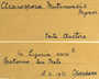 Italy, C. Sbarbaro s.n. (Accession number: none)