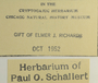 Sweden, H. Smith 8075 (Accession number: none)