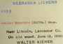 U.S.A. (Nebraska), W. B. Kiener 3581 (Accession number: 1106118)