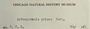 Sweden, O. G. Blomberg s.n. (Accession number: none)