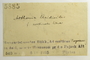 Hungary, F. Fóriss 5885 (Accession number: none)