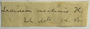 No location, s.col. s.n. (Accession number: 30155)